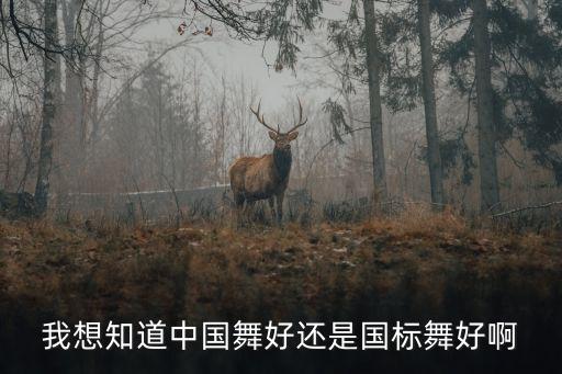 我的中国舞蹈视频,中国舞蹈视频完整版