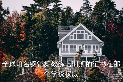 全球知名钢管舞教练培训班的证书在那个学校权威