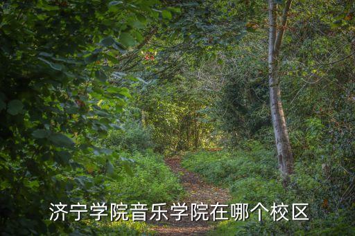 济宁体育馆舞蹈学校,济宁少儿舞蹈学校哪个较好