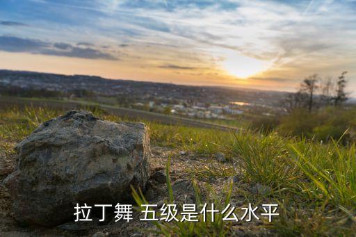 拉丁舞 五级是什么水平