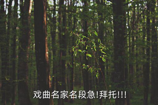  戏曲名家名段急!拜托!!!