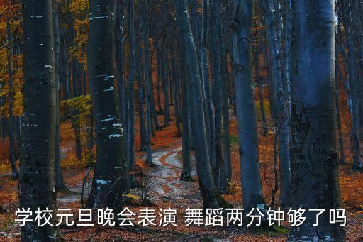 学校元旦晚会表演 舞蹈两分钟够了吗