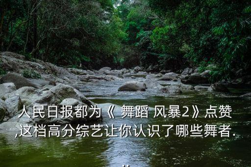 人民日报都为《 舞蹈 风暴2》点赞,这档高分综艺让你认识了哪些舞者...