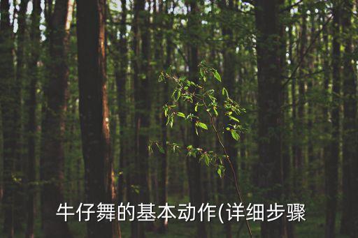  牛仔舞的基本动作(详细步骤