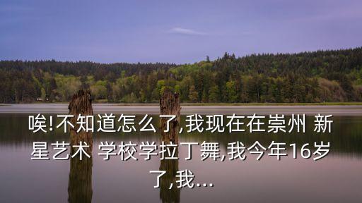 唉!不知道怎么了,我现在在崇州 新星艺术 学校学拉丁舞,我今年16岁了,我...