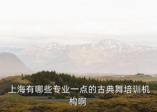 上海艺术舞蹈,上海时代艺术舞蹈中心