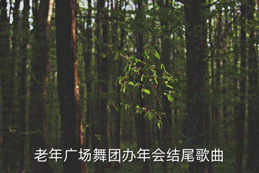 老年广场舞团办年会结尾歌曲
