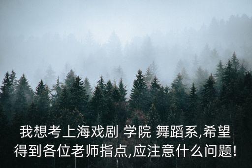 我想考上海戏剧 学院 舞蹈系,希望得到各位老师指点,应注意什么问题!