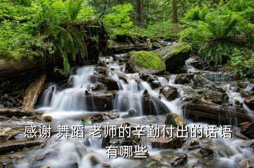  感谢 舞蹈 老师的辛勤付出的话语有哪些