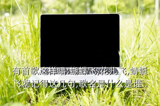 有首歌这样唱:蝴蝶飞,花儿飞,蜻蜓飞就记得这几句,歌名是什么是谁...