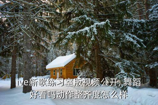 ive新歌练习室版视频公开, 舞蹈好看吗动作整齐度怎么样