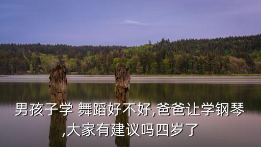 男孩子学 舞蹈好不好,爸爸让学钢琴,大家有建议吗四岁了