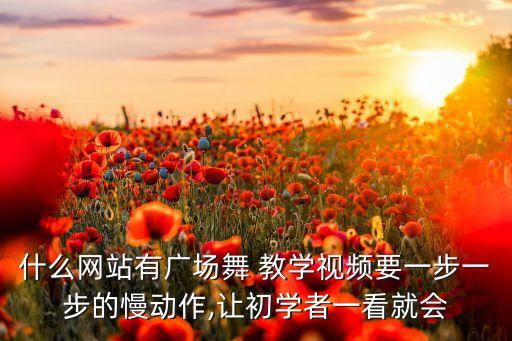 什么网站有广场舞 教学视频要一步一步的慢动作,让初学者一看就会
