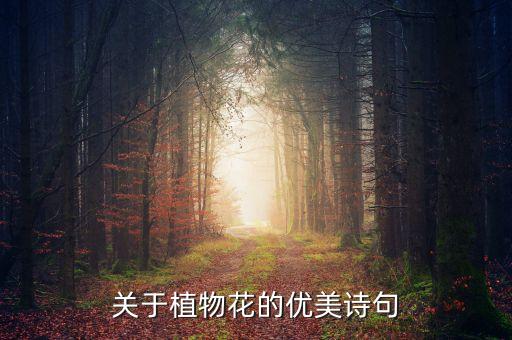 花天酒地舞蹈视频