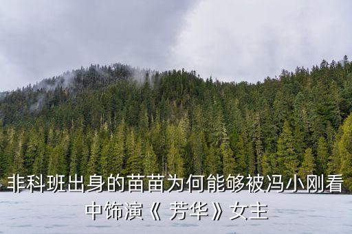 非科班出身的苗苗为何能够被冯小刚看中饰演《 芳华》女主