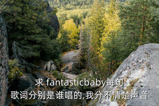 求 fantasticbaby每句歌词分别是谁唱的,我分不清楚声音