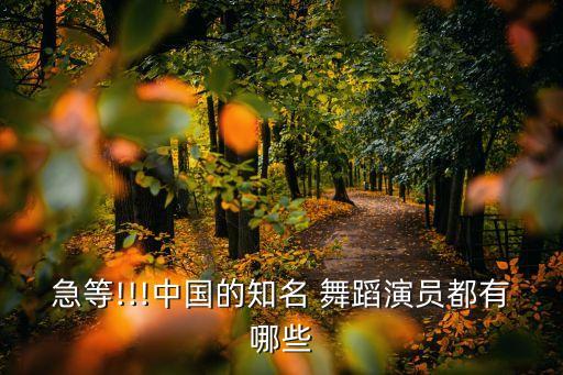急等!!!中国的知名 舞蹈演员都有哪些