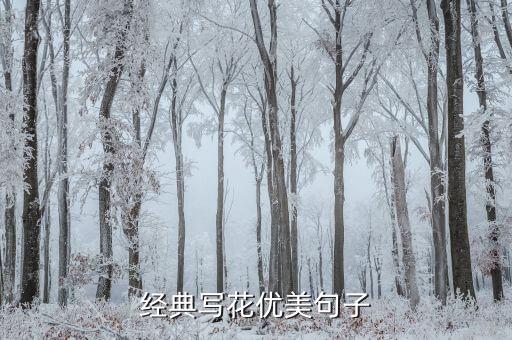 花儿慢慢舞蹈视频,花儿漫漫舞蹈视频