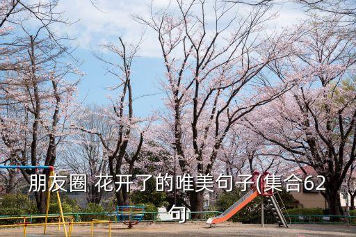 朋友圈 花开了的唯美句子(集合62句