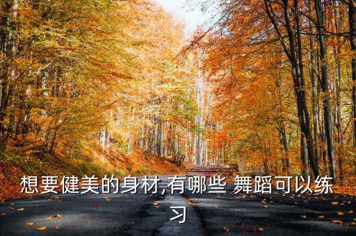 想要健美的身材,有哪些 舞蹈可以练习
