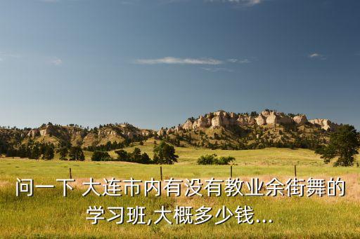 问一下 大连市内有没有教业余街舞的学习班,大概多少钱...