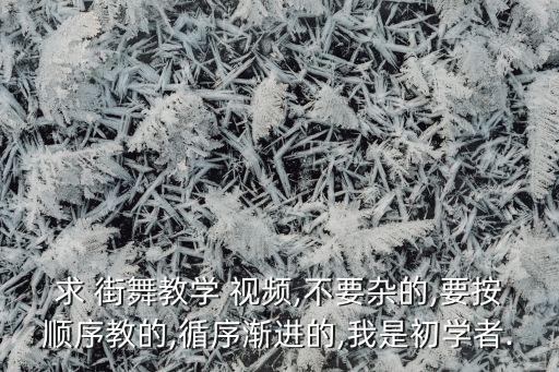 求 街舞教学 视频,不要杂的,要按顺序教的,循序渐进的,我是初学者.
