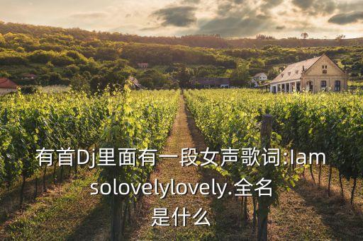 有首Dj里面有一段女声歌词:Iamsolovelylovely.全名是什么