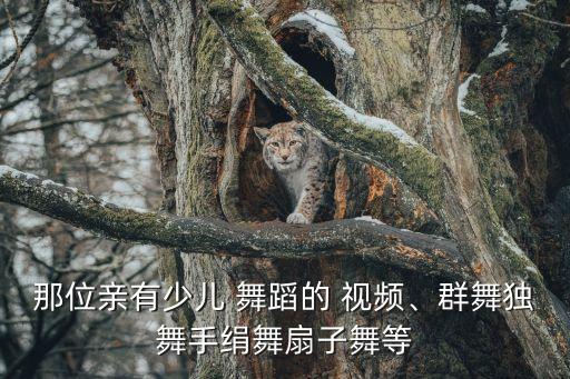 儿董舞蹈教学视频,九儿双人舞蹈教学视频完整版