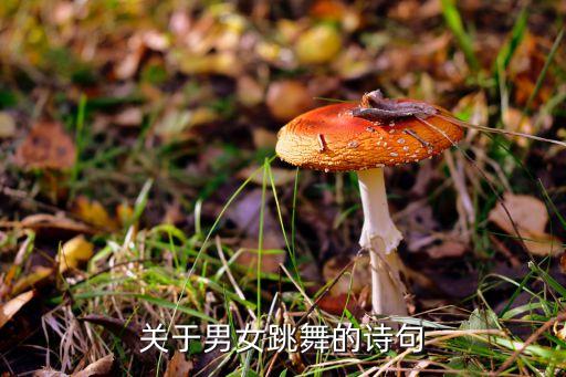彼岸花舞蹈基本动作分解,傣族彼岸花分解动作