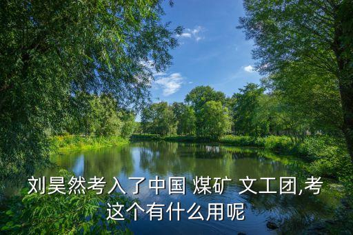 刘昊然考入了中国 煤矿 文工团,考这个有什么用呢