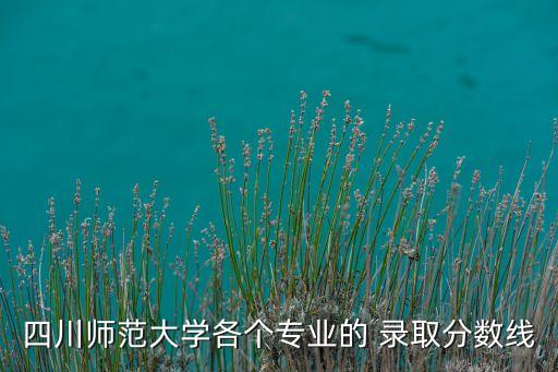 四川师范大学各个专业的 录取分数线