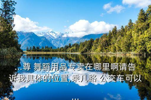 ...尊 舞蹈用品专卖在哪里啊请告诉我具体的位置,乘几路 公交车可以...