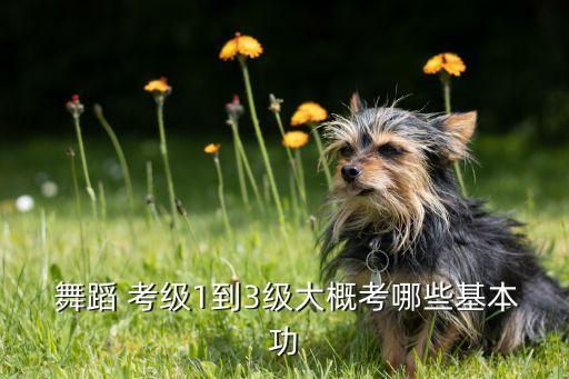  舞蹈 考级1到3级大概考哪些基本功