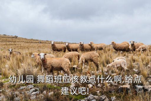 业余舞蹈班教什么好,业余学舞蹈要多少钱