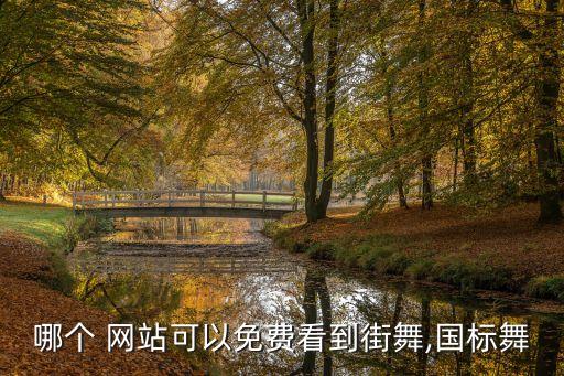 哪个 网站可以免费看到街舞,国标舞