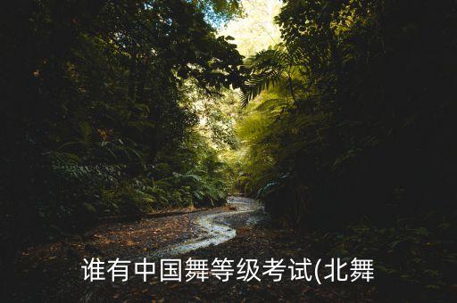 谁有中国舞等级考试(北舞