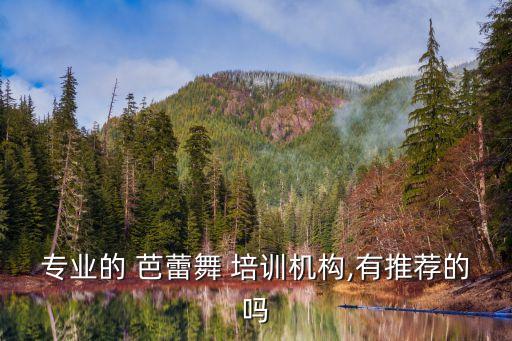 舞蹈培训北京芭蕾,宁波芭蕾舞蹈培训