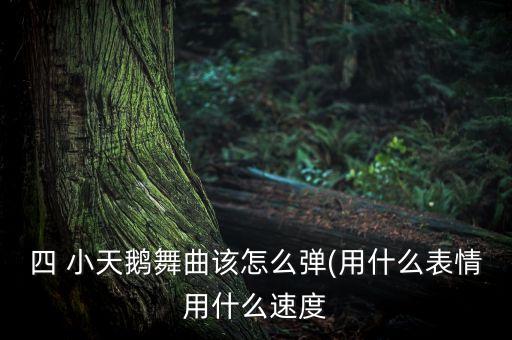 小天鹅旋转舞蹈视频教程