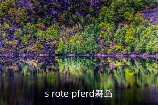 das rote pferd舞蹈