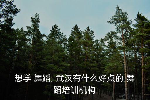 想学 舞蹈, 武汉有什么好点的 舞蹈培训机构