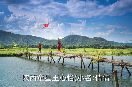 陕西童星王心怡(小名:倩倩