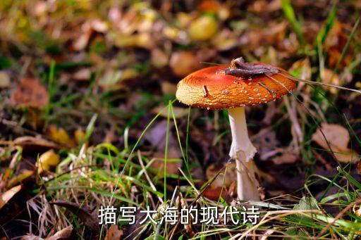 赞美诗歌心海舞蹈,奇妙的双手赞美诗歌舞蹈