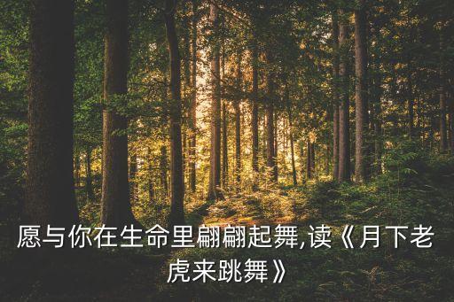 愿与你在生命里翩翩起舞,读《月下老虎来跳舞》