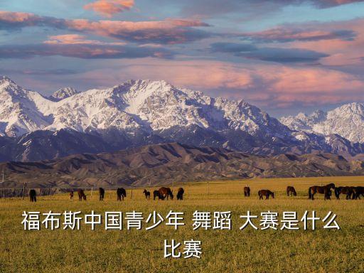 省级舞蹈大赛中国舞独舞