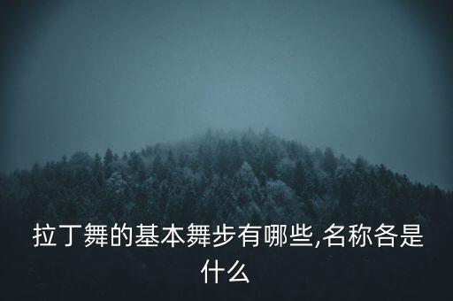  拉丁舞的基本舞步有哪些,名称各是什么