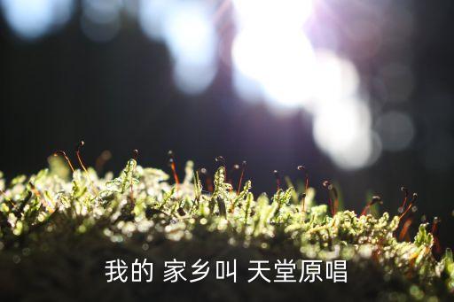 舞蹈我的家乡叫天堂分解,藏族舞蹈我的家乡叫天堂背面演的演示