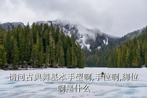 请问古典舞基本手型啊,手位啊,脚位啊是什么
