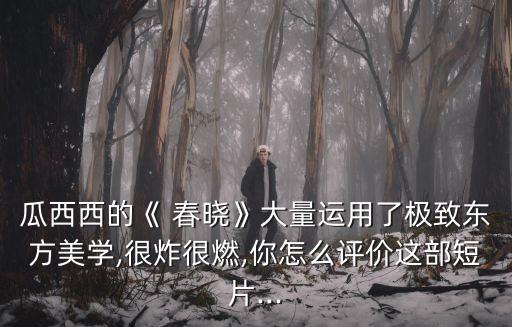 瓜西西的《 春晓》大量运用了极致东方美学,很炸很燃,你怎么评价这部短片...
