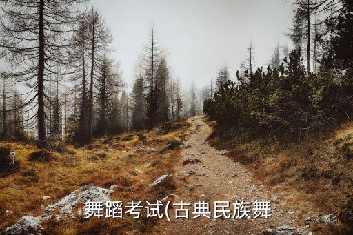  舞蹈考试(古典民族舞