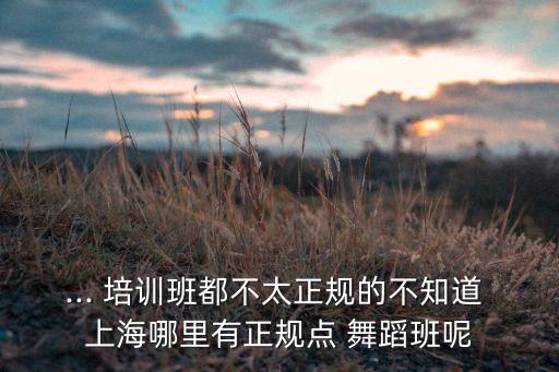上海流行舞蹈培训学校,上海成人舞蹈培训学校哪家好